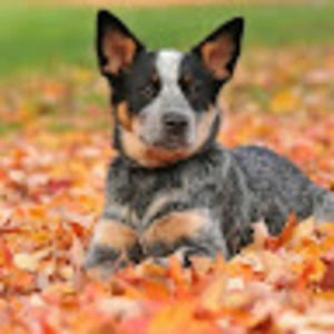 Meet your Posher, Addelyn